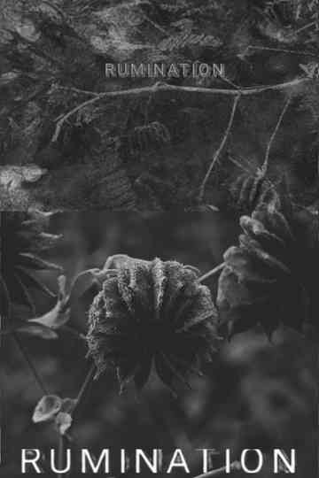 RUMINATION Poster