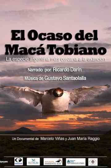 El Ocaso del Macá Tobiano Poster