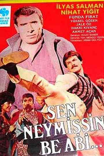 Sen Neymişsin Be Abi Poster