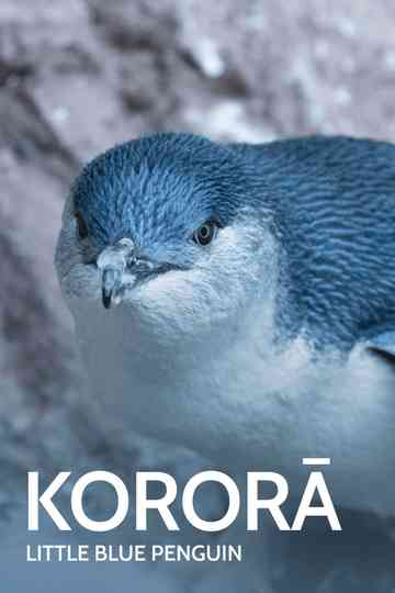 Kororā: Little Blue Penguin Poster
