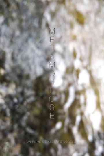 Metamorphosis Poster