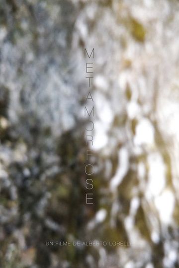 Metamorphosis