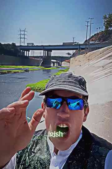 Irish Zionism Poster