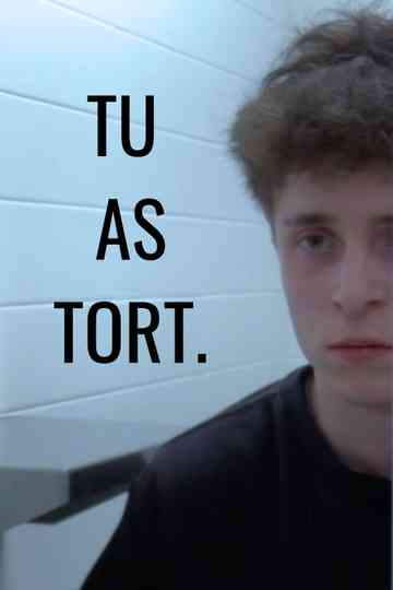 TU AS TORT. Poster