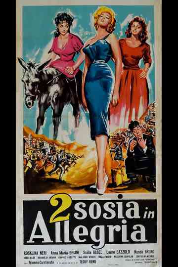 Due sosia in allegria Poster