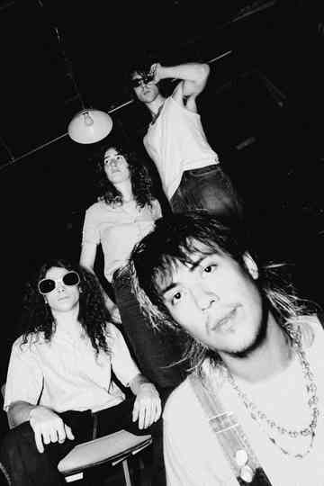 Geese - Live at Washington D.C Poster