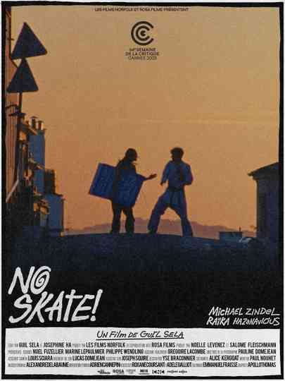 No Skate! Poster