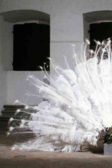 La Ferdinanda. Sonate für eine Medici-Villa Poster