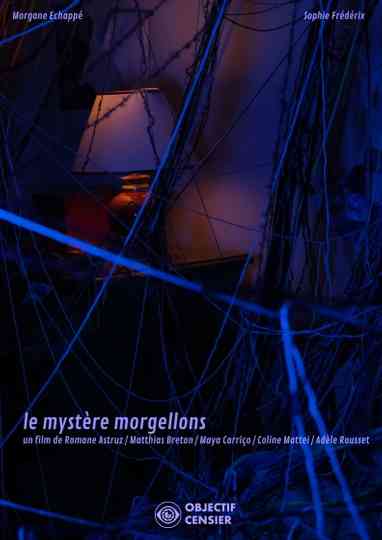 The Mystery of Morgellons Poster