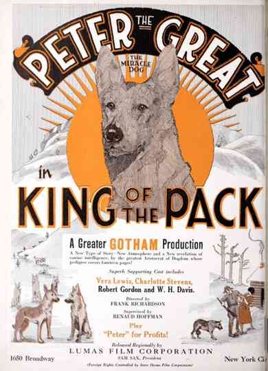 King of the Pack Poster