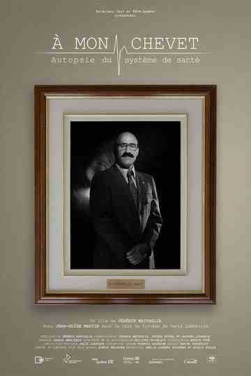 At my bedside: an autopsy of the healthcare system Poster