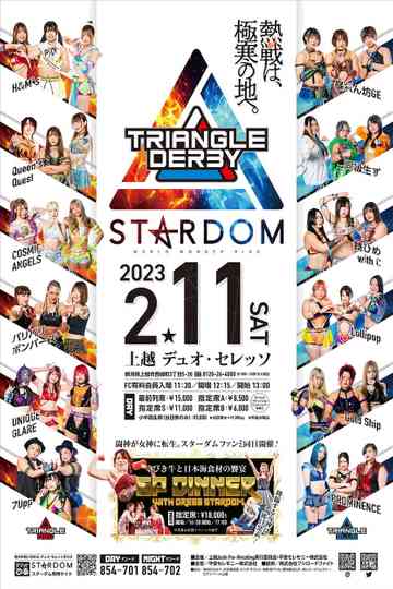 Stardom Triangle Derby I in Joetsu Poster