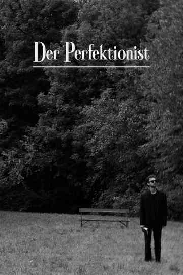 The Perfectionist Poster