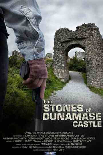 The Stones of Dunamase Castle Poster