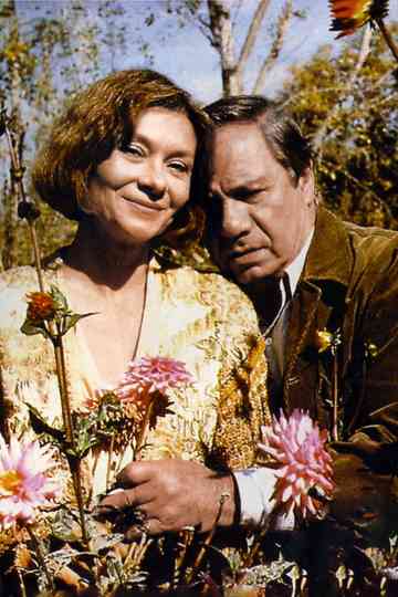 Honorin - Saga Poster