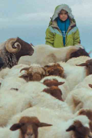 The Price of the Sun Poster