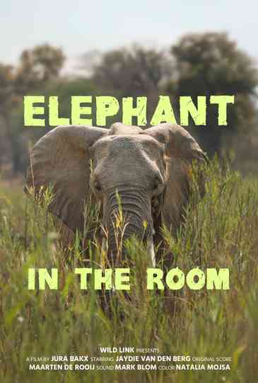 Elephant in the Room Poster
