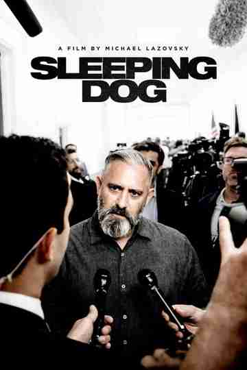 Sleeping Dog Poster