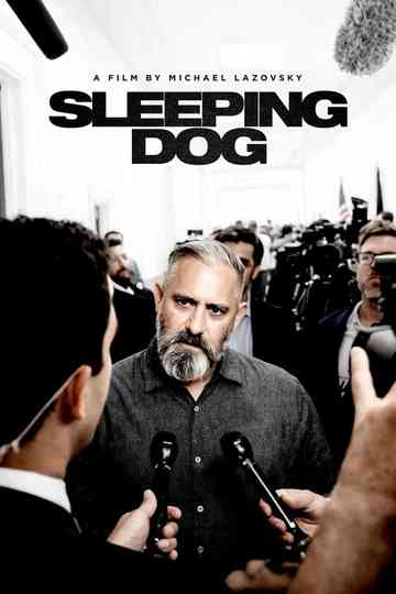 Sleeping Dog Poster