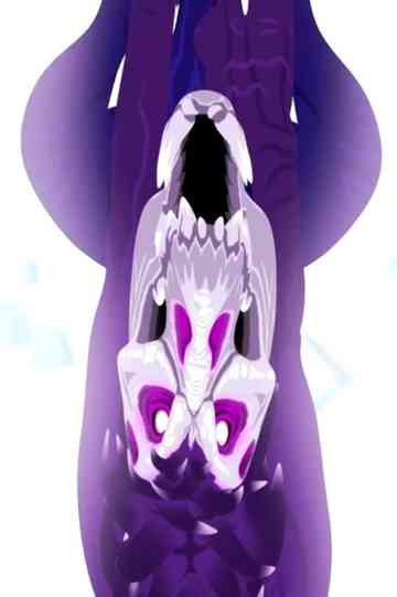 Scary And Strange Poster