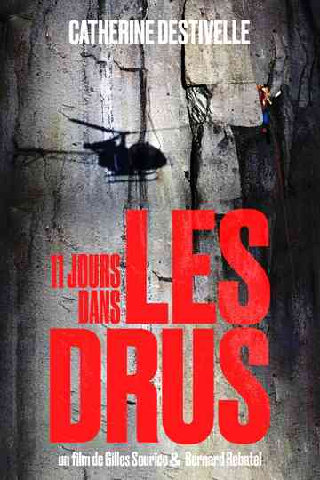 11 Days in the Drus Poster
