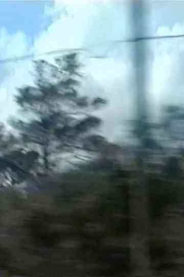 Through the Window Poster