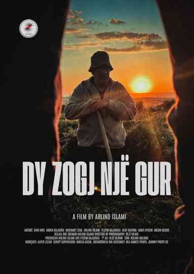 Dy zogj një gur Poster