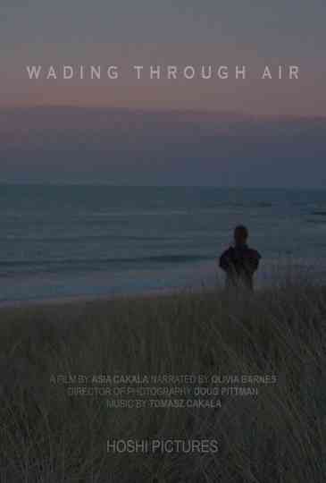 Wading Through Air Poster