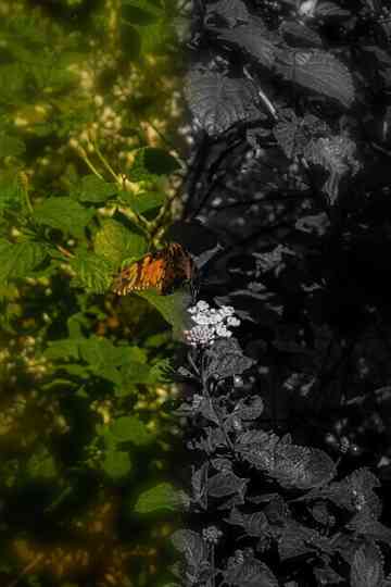 Ambivalência Poster