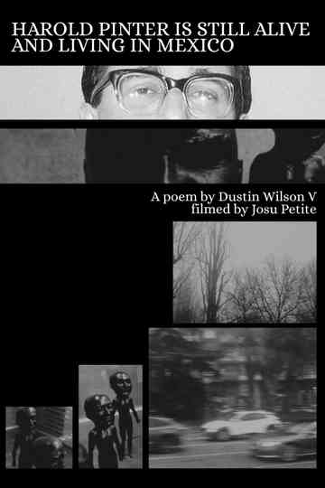 Harold Pinter is Still Alive and Living in Mexico Poster