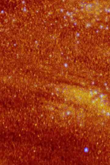 La plante dansante de désastres Poster