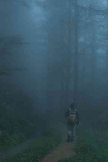 Men Wandering in the Mountain Poster