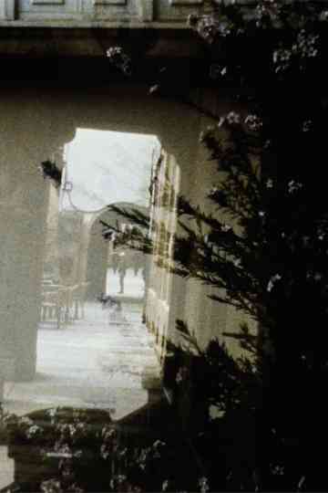 Apuntes para unha psicoxeografía variable Poster