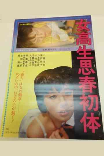 High School Girl's First Sexual Experience Poster