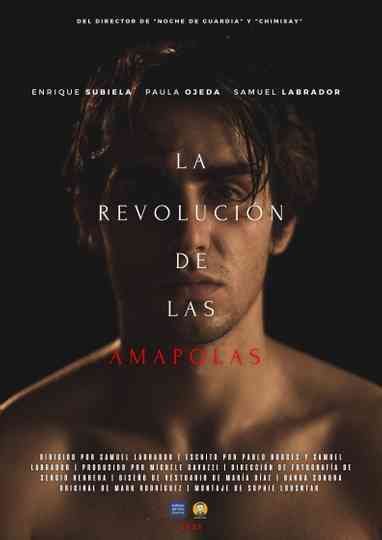 Where Nothing Matters That Much Poster