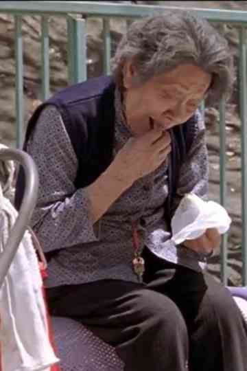 A Day In A Life Poster