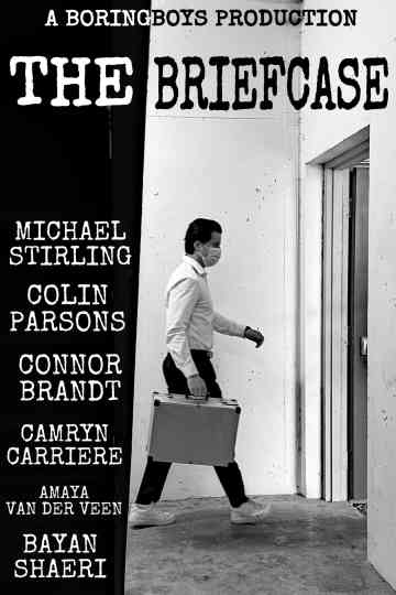 The Briefcase Poster