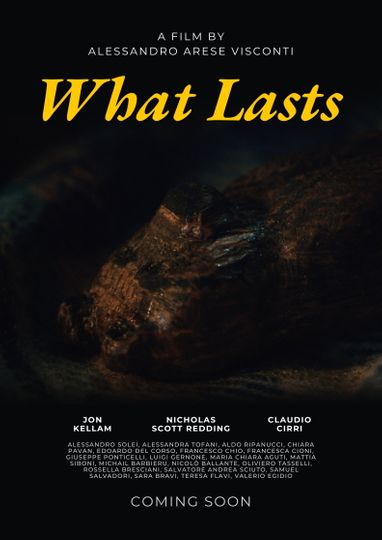 What Lasts