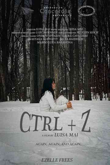 CTRL+Z Poster