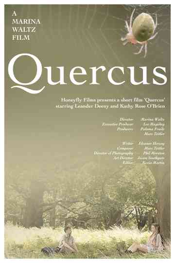 Quercus Poster