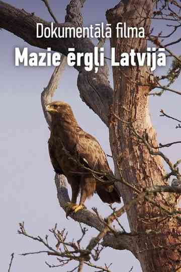 Mazie ērgļi Latvijā Poster
