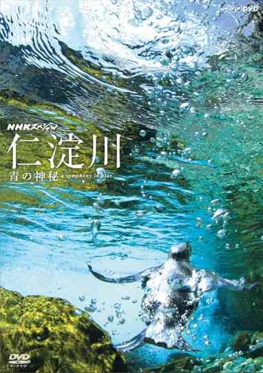 The Niyodo River: A Symphony in Blue Poster