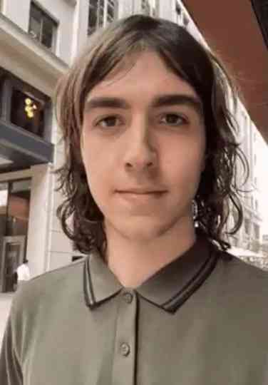 Untitled Cameron Winter/Geese Biopic Poster