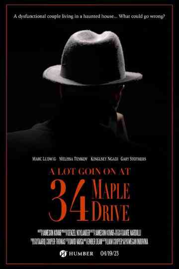 A Lot Going on at 34 Maple Drive Poster