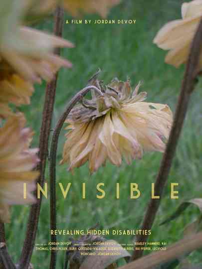 Invisible - Revealing Hidden Disabilities Poster