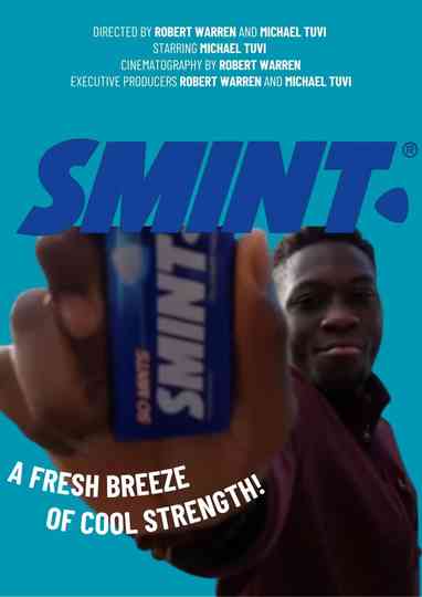SMINT. Poster