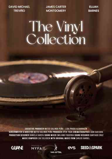 The Vinyl Collection Poster