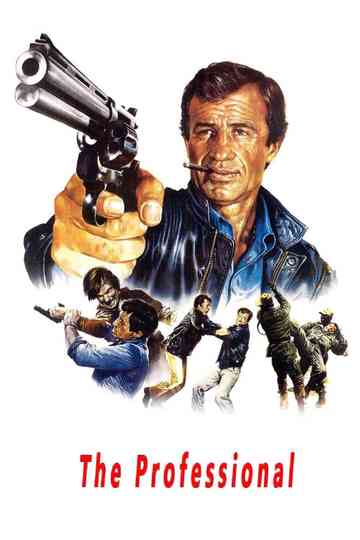 The Professional poster