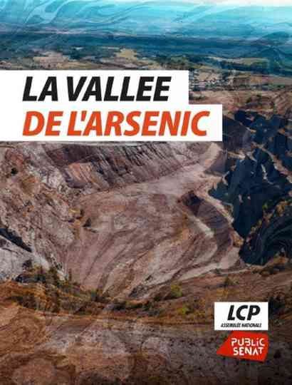 La vallée de l'arsenic Poster