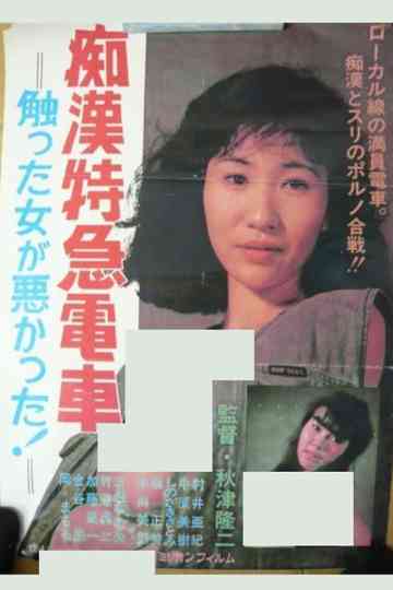 The Molester Express: It's the Woman's Own Fault She Got Touched! Poster